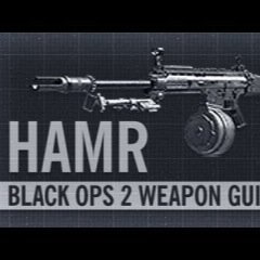 HAMR