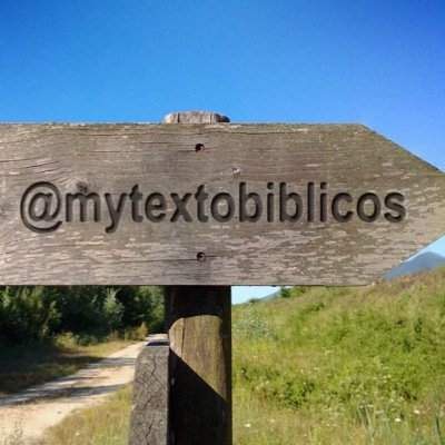 mytextobiblicos Profile Picture