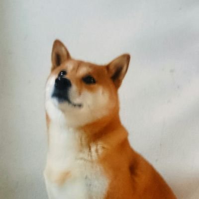 haruharuharu128's profile picture. はるママ れん  母娘しばワン がくれる
しあわせ よろこび 綴ります