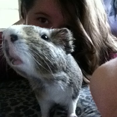 BooCrissyit's profile picture. Have a good summer :) hangen with my mr.sqiks the guinea pig