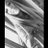 BeaCurto's profile image