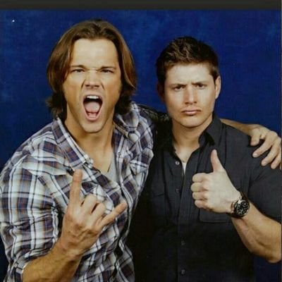 llama_Morrison's profile picture. castiel is my spirit animal