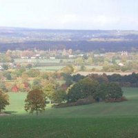 PaddockWoodian (@paddockwoodian) 's Twitter Profile