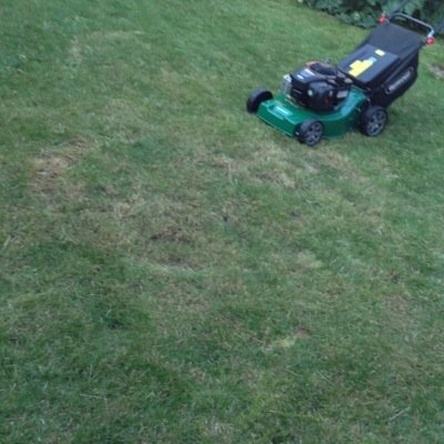 Grass cutting service based in Ely, Cambs. & surrounding area... Get in touch if you need grass cutting! elygrasscutting@outlook.com - simple! :-)