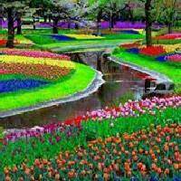 Aunt_Eeda_R's profile picture. Nice Housewife