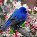 E.alkhuzaei (@1378Alkhuzaee) Twitter