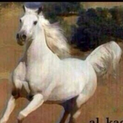 الهرج واجد والنوايا مطايا .وكلٍ حسب تفكيره يعامل الناس ناسٍ مظاهرها بعكس الخفايا .وناسٍ ع  وضح النقاء ترفع الراس