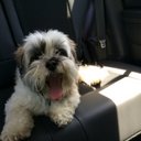 Maureen Lake - @MaurLake38 - Twitter