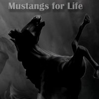 McDonald County High School (@mcr1mustangs) 's Twitter Profile