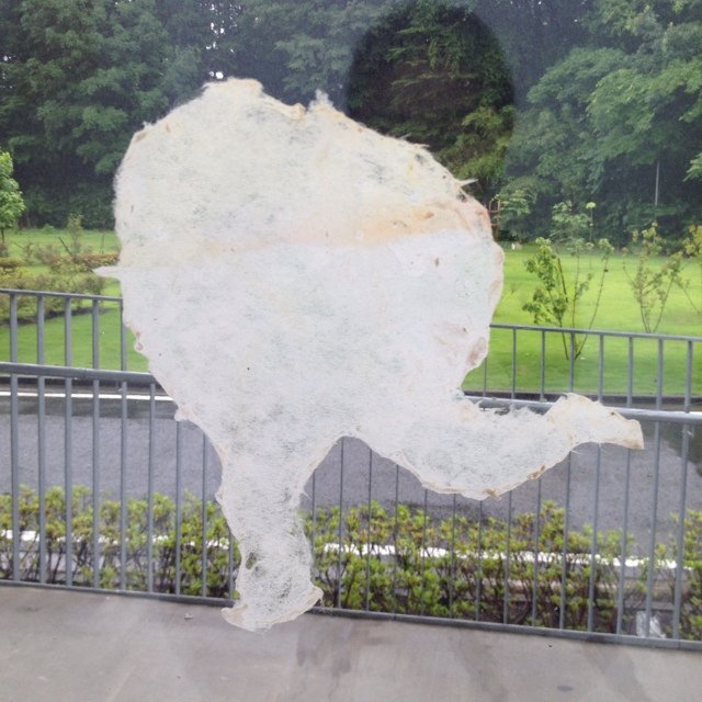 はなさんのプロフィール画像