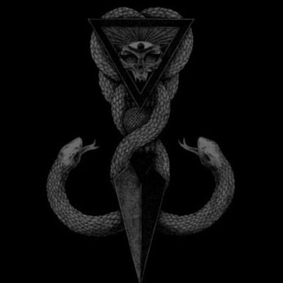 ♊️