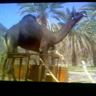‏‏تابعني اتابعك      7D2D79F0  BBM