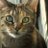 ScillaTheCat's profile image