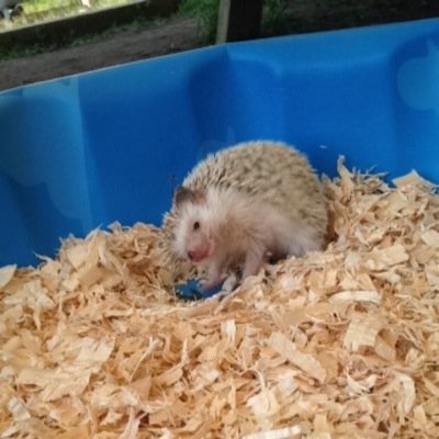 madisontalksalo's profile picture. Happy to b country ✌️ I am the queen and I'm a pro at makeup softball is life ❤️