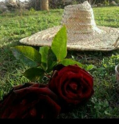 Fatmah991's profile picture. اللهم انك عفو تحب العفو فاعف عنا