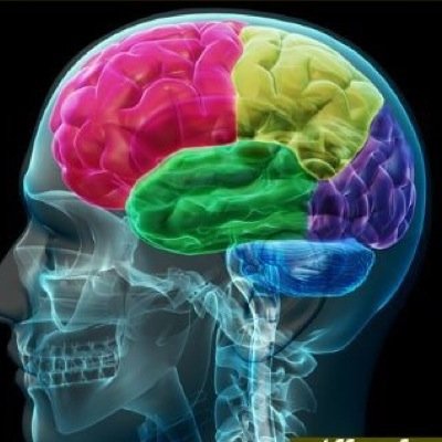 Psychology of mind..