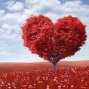 . - @AniahJaelOrtiz - Twitter