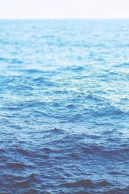 lawhry's profile picture. 