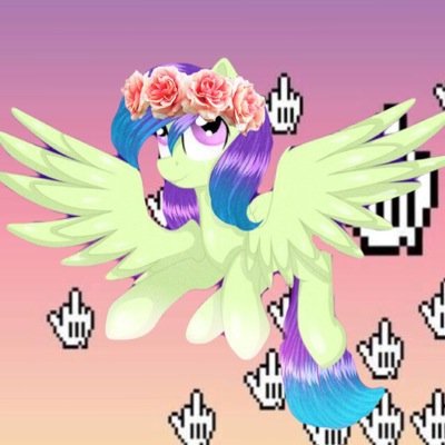 One of the fastest pony in all of Equestria.