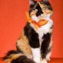 Carla Stone - @CarlaStonee - Twitter