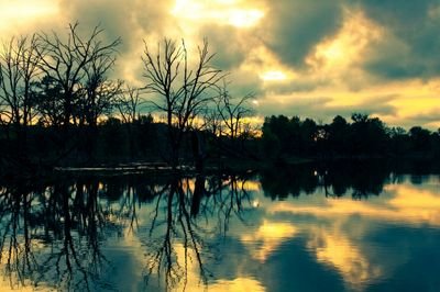 iowakids's profile picture. Just trying to inspire ✌ #515