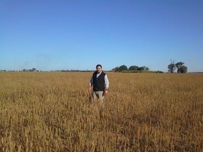 LuisKulman's profile picture. 