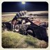 david grobe (@grobedavid) Twitter profile photo david grobe (@grobedavid) Twitter profile photo