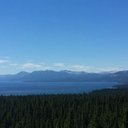 Michael Cali - @michaelwinsf - Twitter