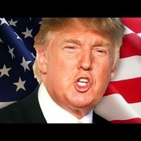 President Trump (Parody) (@writeintrump) 's Twitter Profile