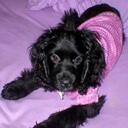 Starr Bennett - @starrya30 - Twitter