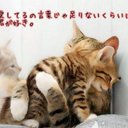 岩上 亜人夢 (@0217Voyajer) Twitter