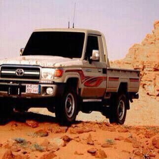 dduursc's profile picture. 