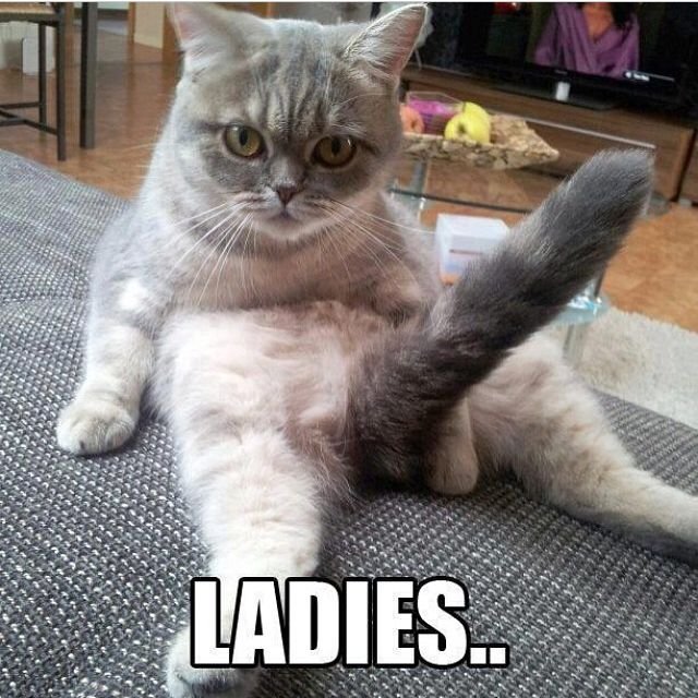 KUKI_MONSTER_99's profile picture. 