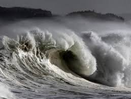 Custom surfboards and top of the line skateboards, snowboards, and wakeboards. We have all the gear and apparel us adrenaline junkies need. Coming 2015.