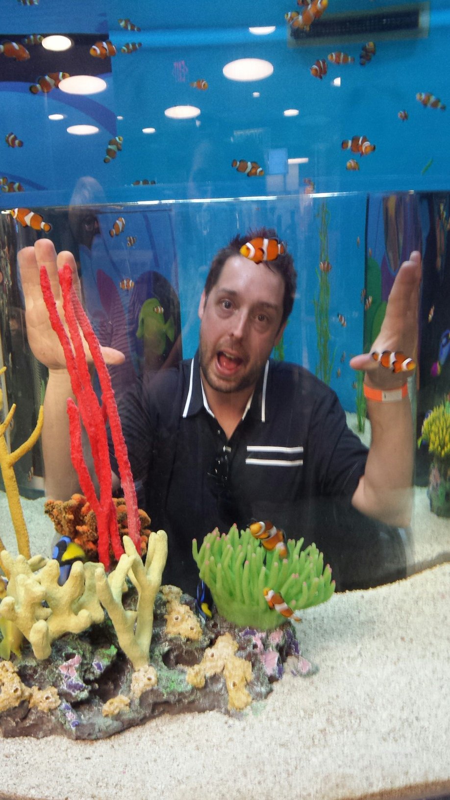 McInnovate's profile picture. 