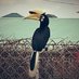 hanifa (@hanifawtf) Twitter profile photo hanifa (@hanifawtf) Twitter profile photo