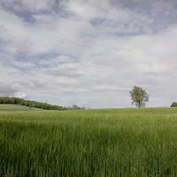 Crosstif (@crosstif) 's Twitter Profile