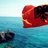 AlbaniaPics's profile image