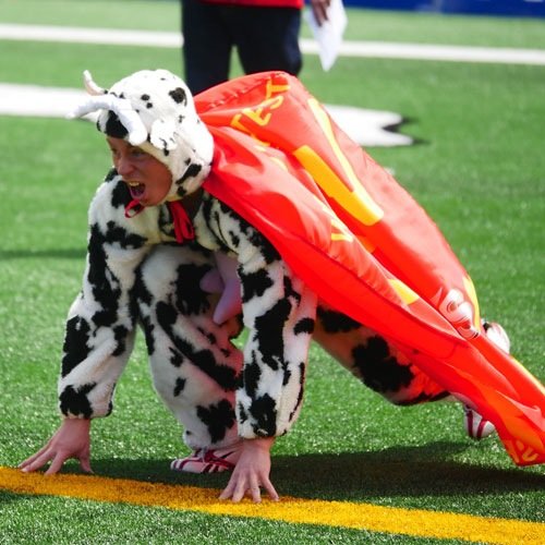 All tweets are approved by the Cow. Presented by Cowboys Casino
