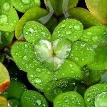 PriyangaRajan's profile picture. 