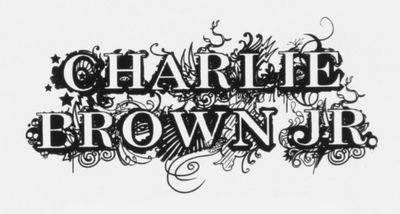 Em homenagem a banda Charlie Brown Jr, mostrando versos e frases de sucesso.
