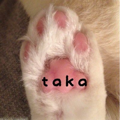 taka_gollgood Profile Picture