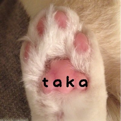 taka@品川運転所のプロフィール写真