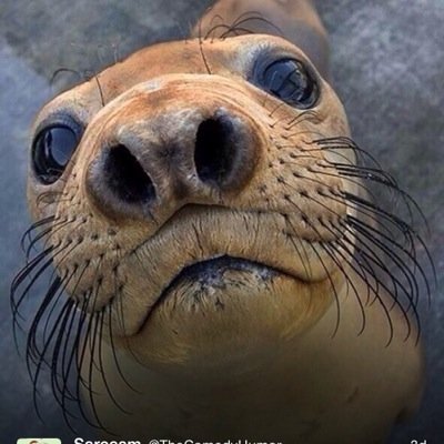 d_facetimemecam's profile picture. HIIII, on my other twitter i have tweet limit: @DxEspinosa