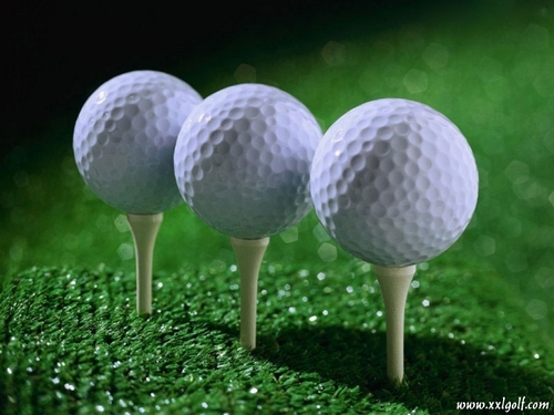 Golf player since 20 years. Big PGA fan and interest in golf tips to cut down stroke,story, trip around the world.