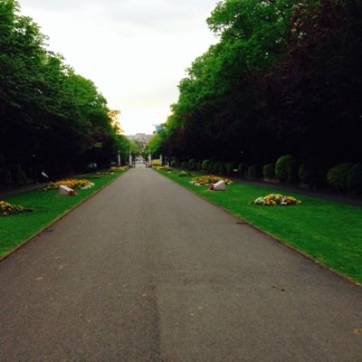 AlmulhimB's profile picture. MSc Nanotechnology