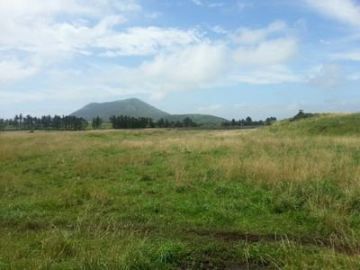 qwerty9123's profile picture. 