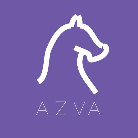 software company