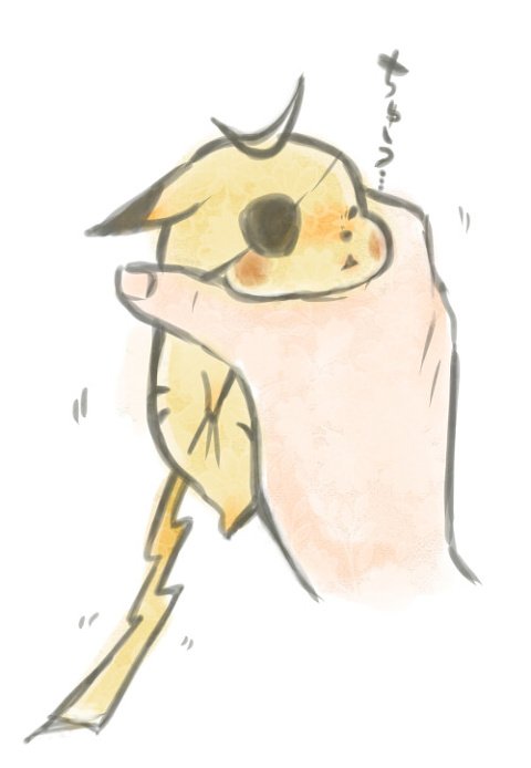 マンガすき
春から大学生