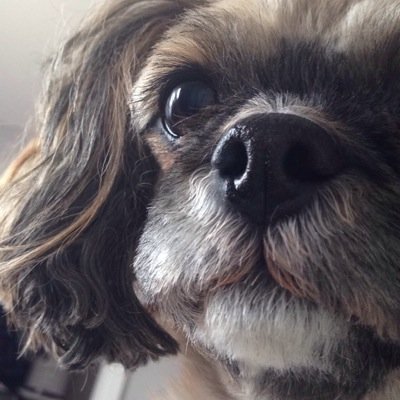 bigtittyjesus's profile picture. LA babyyy :)